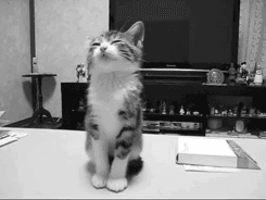 微信图片_20180118095323.gif