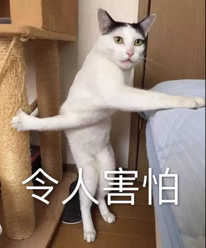 微信图片_20180824142716.jpg