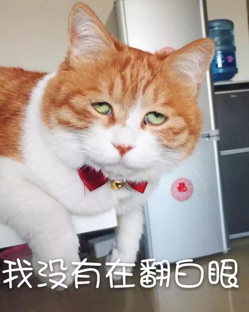 微信图片_20181107164636.jpg