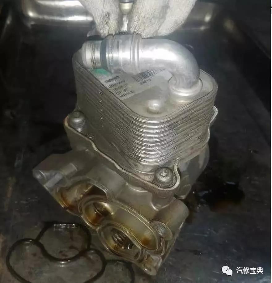 微信图片_20190419152830.jpg