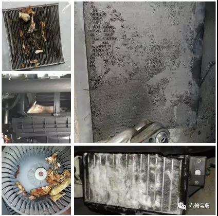 微信图片_20190509141250.jpg