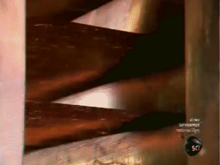 640 (1).gif