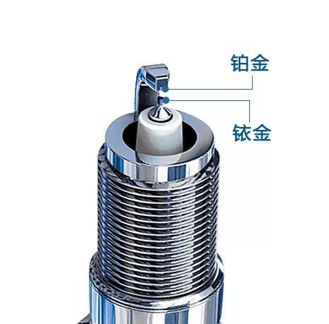 d20da978-9cb9-4385-9fd4-05bef2c914aa.jpg