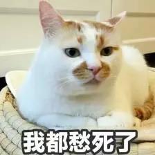 微信图片_20190719160820.jpg