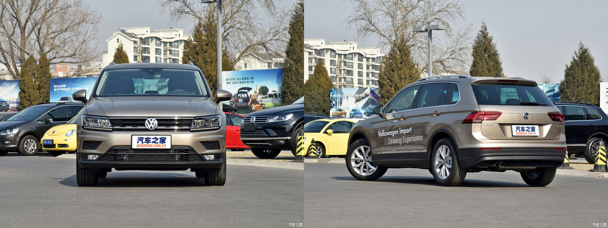 Tiguan.jpg