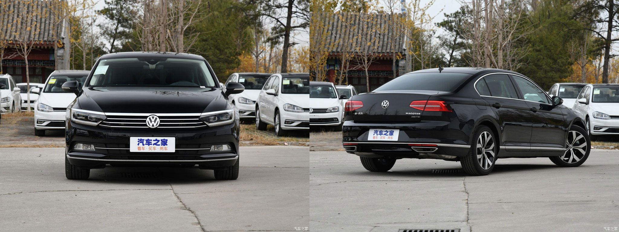 迈腾.jpg