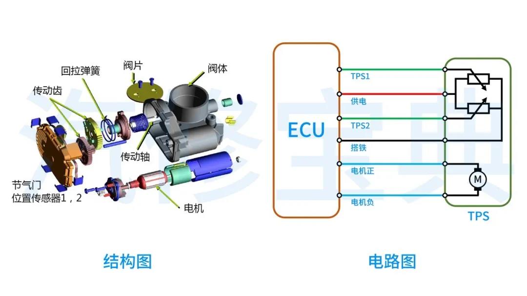 微信图片_20200819150520.jpg